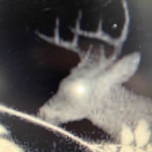 Meet your Posher, Peter